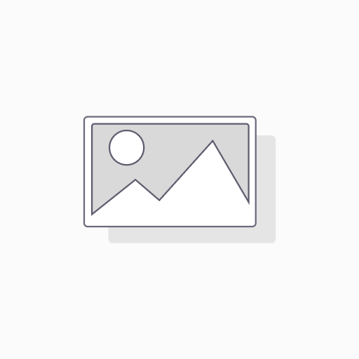 Odoo Program Management